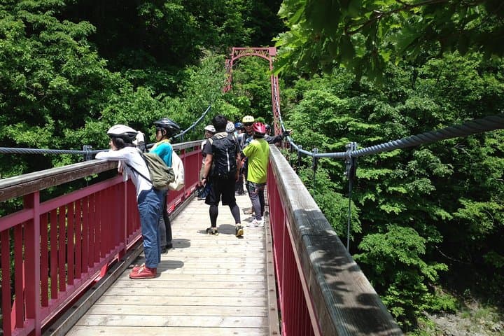 Mountain Bike Tour from Sapporo Including Hoheikyo Onsen and Lunch — photo 7