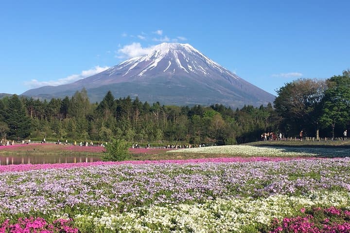 Mt Fuji Hidden Gem Custom Car Tour with Licensed Guide & Driver — photo 18