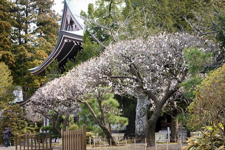 When Emperors Reigned and Shoguns Ruled — photo 6