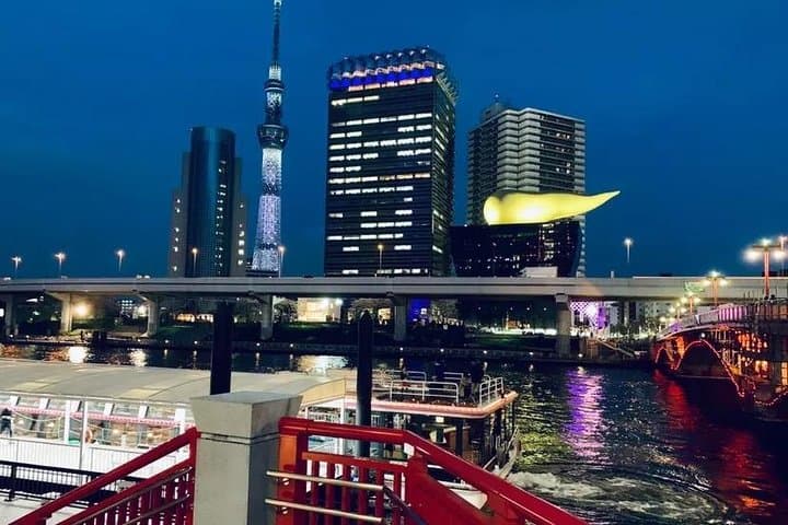 1 Day Private Charter Tokyo Tour (Green Number Plates) — photo 4