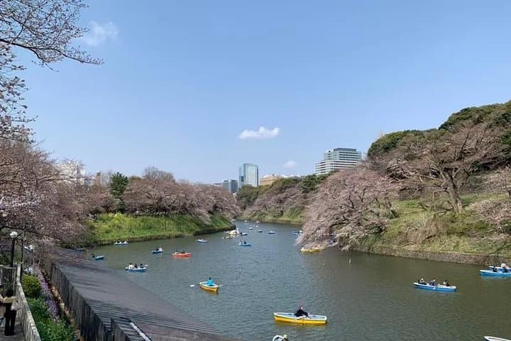 1 Day Private Charter Tokyo Tour (Green Number Plates) — photo 7