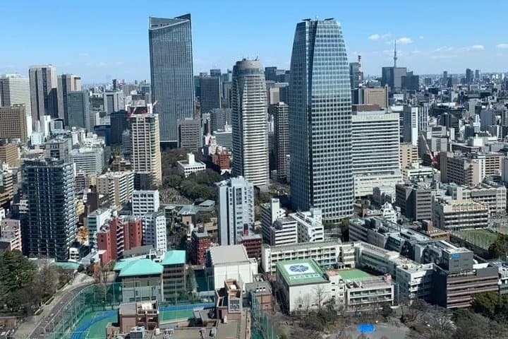 1 Day Private Charter Tokyo Tour (Green Number Plates) — photo 11