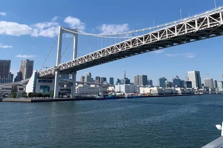 1 Day Private Charter Tokyo Tour (Green Number Plates) — photo 12