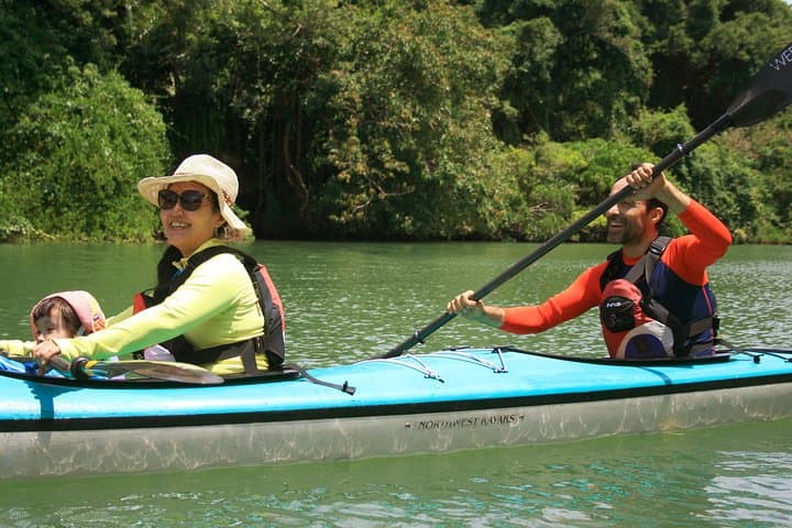 Okinawa: Kayak Mangroves & Ocean Native-English Private Tour
