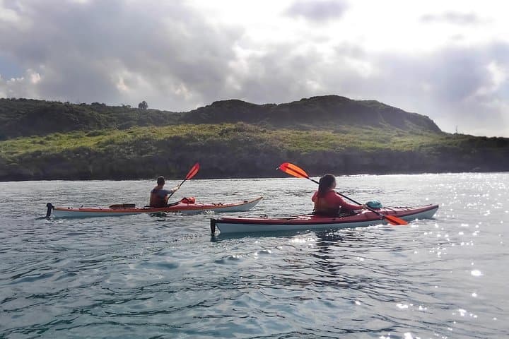 Okinawa: Kayak Mangroves & Ocean Native-English Private Tour — photo 13