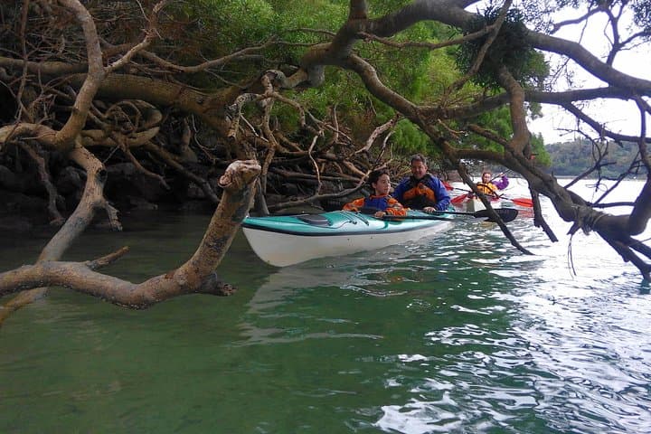 Okinawa: Kayak Mangroves & Ocean Native-English Private Tour — photo 16