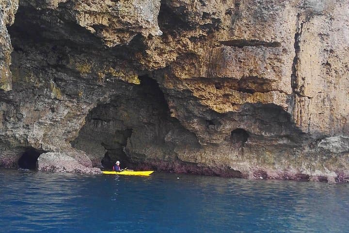Okinawa: Kayak Mangroves & Ocean Native-English Private Tour — photo 18