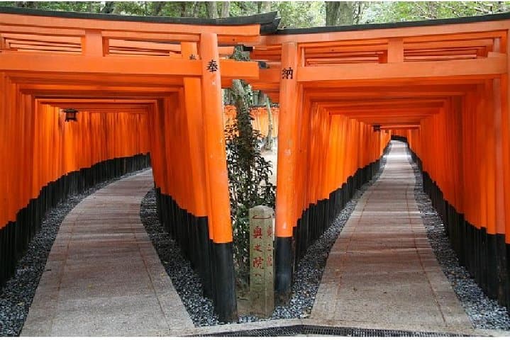 Kyoto 1 Day Tour from Kyoto — photo 1