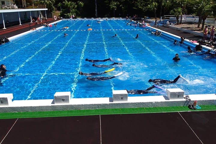 Half-day Snorkeling Course Relieved at the beginning Even in the sea of Izu, veteran instructors will teach kindly — photo 3