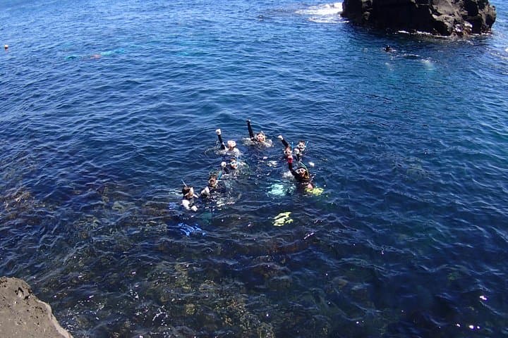 Half-day Snorkeling Course Relieved at the beginning Even in the sea of Izu, veteran instructors will teach kindly — photo 6