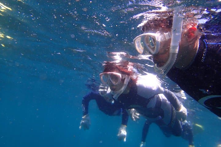 Half-day Snorkeling Course Relieved at the beginning Even in the sea of Izu, veteran instructors will teach kindly — photo 7
