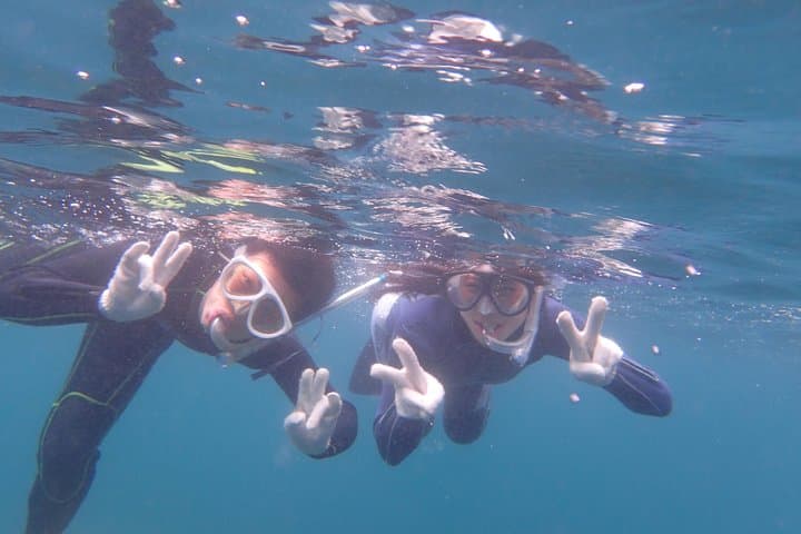 Half-day Snorkeling Course Relieved at the beginning Even in the sea of Izu, veteran instructors will teach kindly — photo 8