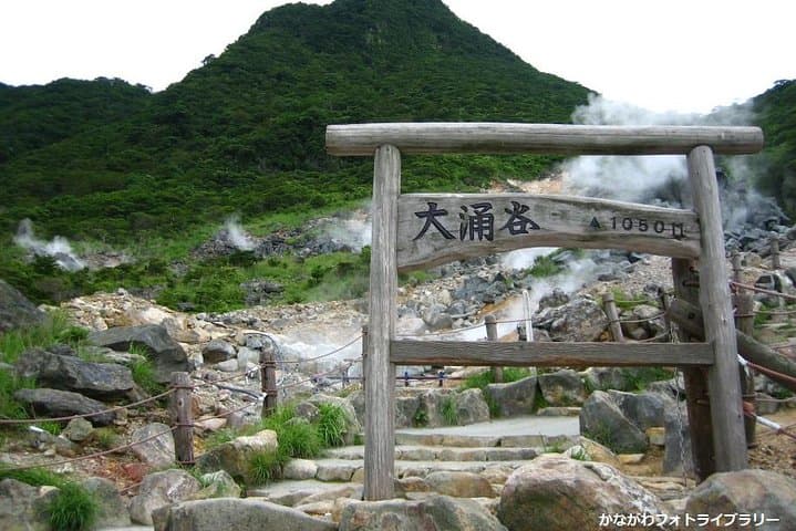Mt. Fuji and Hakone Day Trip From Tokyo with Bullet Train Option — photo 10