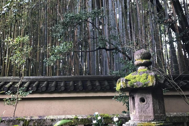 Hidden Kyoto E-Biking tour — photo 11
