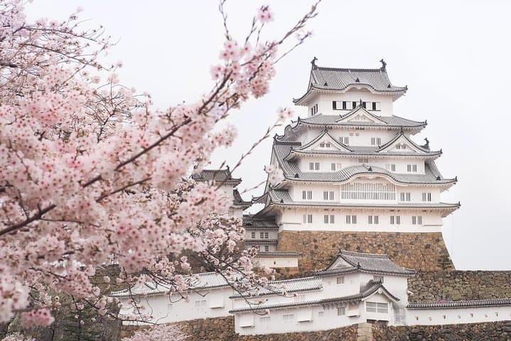 Private & Unique Kyoto Cherry Blossom "Sakura" Experience — photo 14