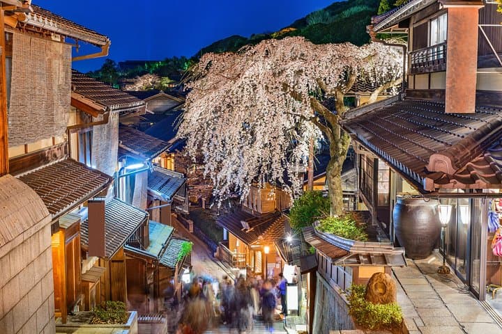 Private & Unique Kyoto Cherry Blossom "Sakura" Experience — photo 18