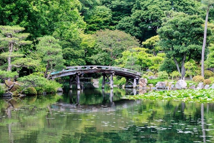 Living Buddhism — photo 8
