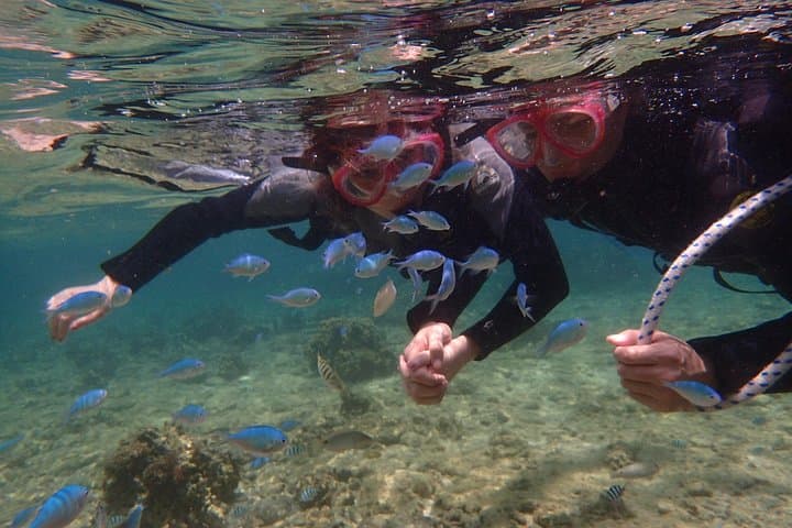 Snorkeling in the Blue Cave area【Okinawa Prefecture: Free feeding & photo images!English and Chinese speaking guide available! — photo 7