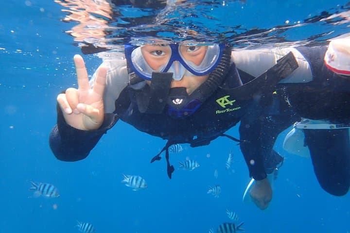 Snorkeling in the Blue Cave area【Okinawa Prefecture: Free feeding & photo images!English and Chinese speaking guide available! — photo 9