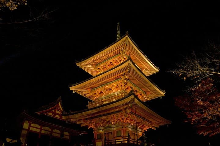 Kyoto Private Night Tour with a Local – Bars, Bites & Culture — photo 6