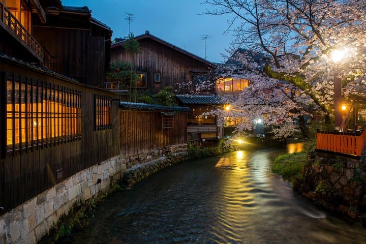 Private & Unique Kyoto Cherry Blossom "Sakura" Experience — photo 17