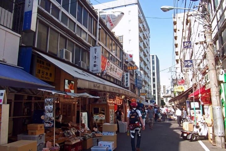 Full Day Tokyo Chartered Taxi Tour — photo 9