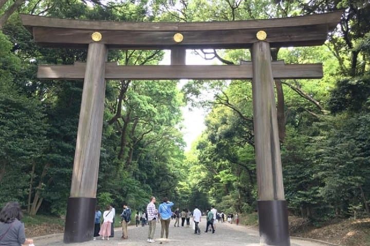 Meiji Jingu Shrine Half-day Tour by public transportation — photo 3