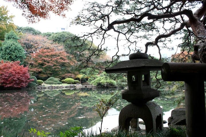 Meiji Jingu Shrine Half-day Tour by public transportation — photo 8