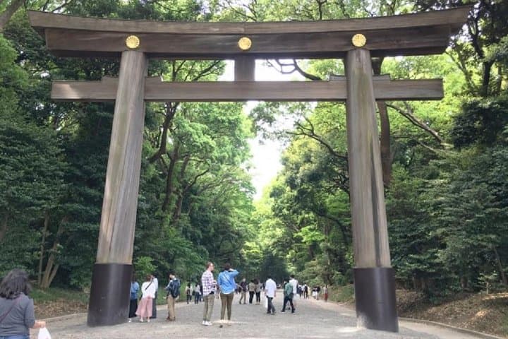 Full Day Tokyo Chartered Taxi Tour — photo 2