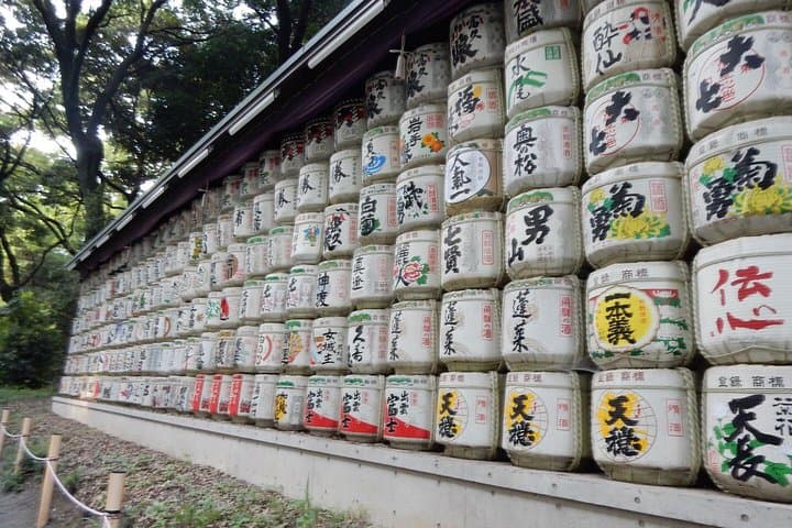 Full Day Tokyo Chartered Taxi Tour — photo 5
