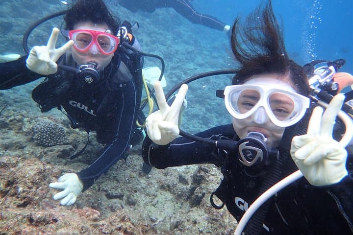 Blue Cave Area Experience Diving!Free feeding & photo images Chinese guide available!1 group with a dedicated instructor — photo 3