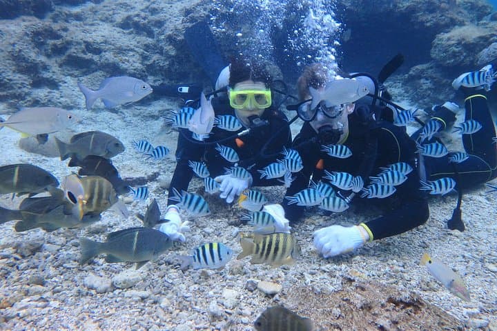 Blue Cave Area Experience Diving!Free feeding & photo images Chinese guide available!1 group with a dedicated instructor — photo 6