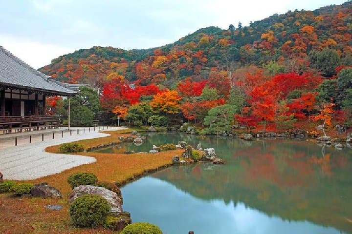 Half Day Kyoto Sagano Bamboo Grove & Arashiyama Walking Tour — photo 10