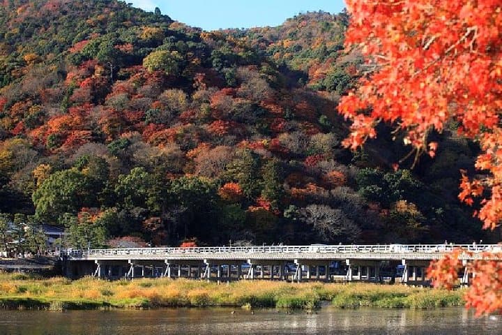 Half Day Kyoto Sagano Bamboo Grove & Arashiyama Walking Tour — photo 17