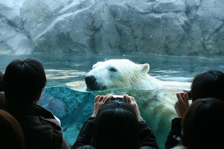 Hokkaido Asahiyama Zoo, Furano and Biei Bus Tour — photo 3