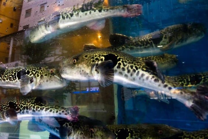 Adventurous Japanese Food Tour in Tokyo — photo 5