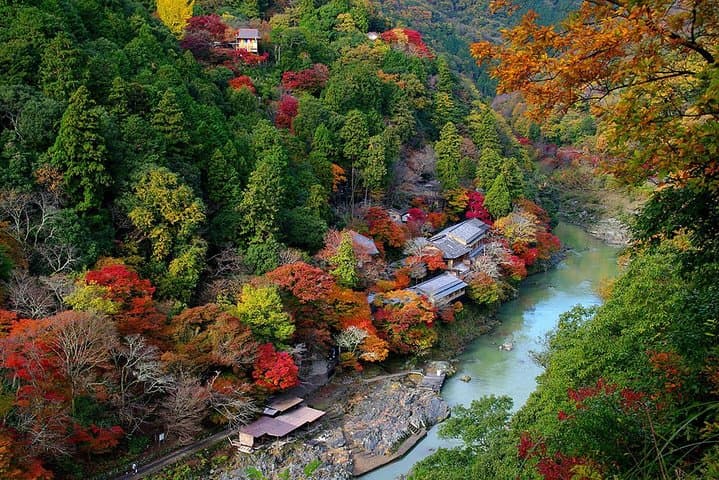 [Private] Kyoto Tailored Tour (Guide + Private Transport) — photo 4