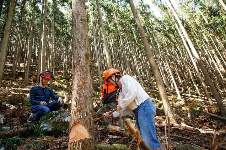 Discover Forester's Life tour (1-day) — photo 4