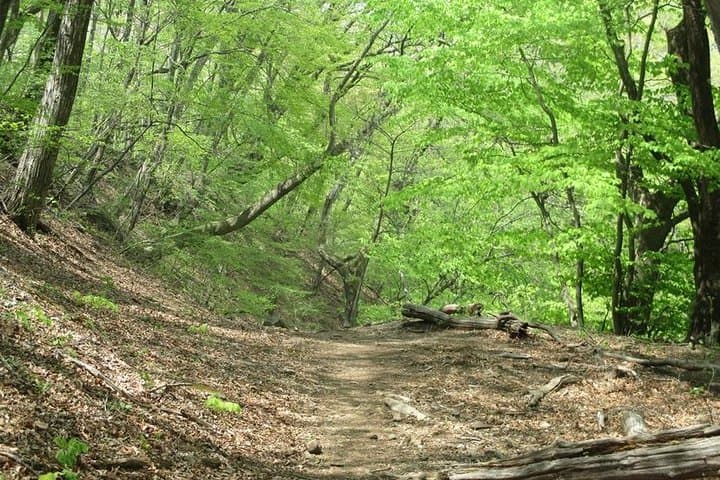 Visit the amazing views and power spots of ... — photo 4