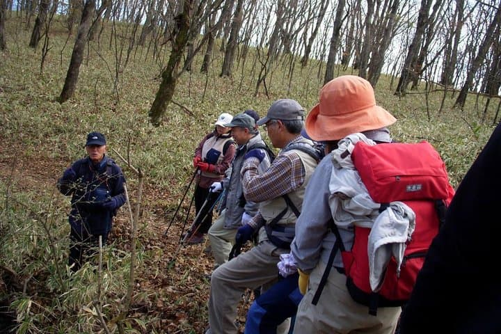 Relax and refresh in Karuizawa Forest! Shinanoji down trekking around two people — photo 4