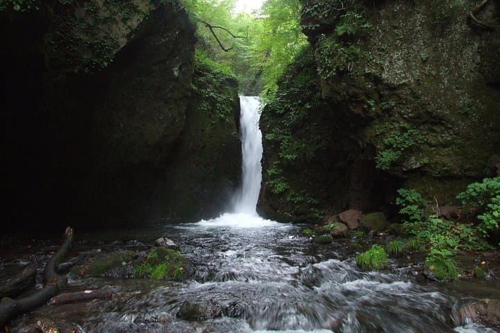 Relax and refresh in Karuizawa Forest! Shinanoji down trekking around two people — photo 2
