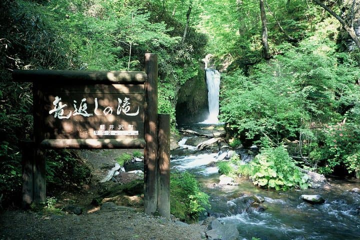 Relax and refresh in Karuizawa Forest! Shinanoji down trekking around two people — photo 5
