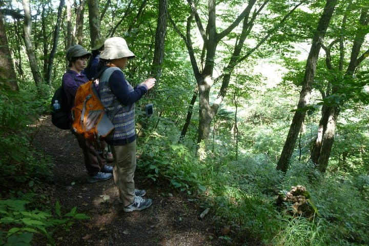 Old Nakasendo trekking from Karuizawa-Beyond Sugahi Pass to Sakamoto Hotel- — photo 2