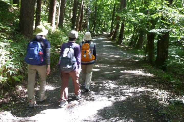 Old Nakasendo trekking from Karuizawa-Beyond Sugahi Pass to Sakamoto Hotel- — photo 7