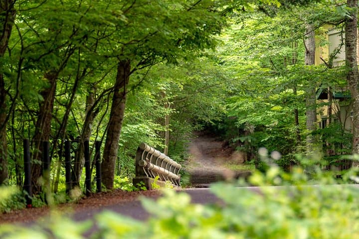 ~Exploring the nature and sightseeing spots of Karuizawa~ Forest bathing cycling — photo 8