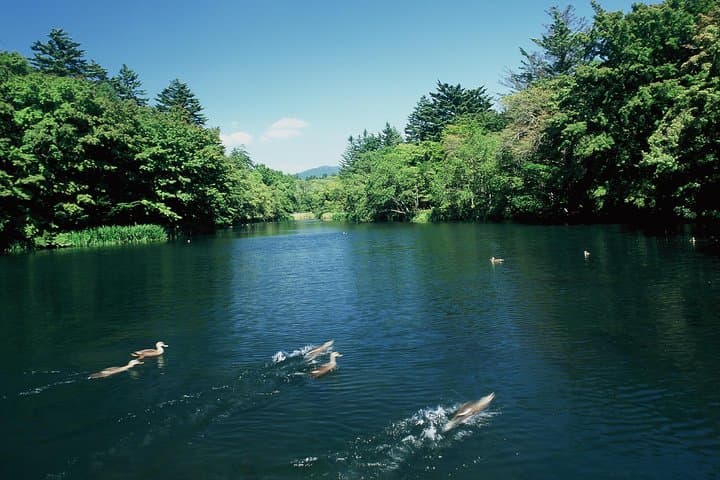 ~Exploring the nature and sightseeing spots of Karuizawa~ Forest bathing cycling — photo 7