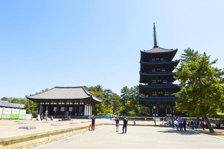 Nara Private Tour by Public Transportation from Osaka — photo 5
