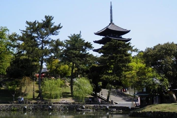 Nara Private Tour by Public Transportation from Osaka — photo 6