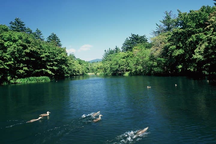 Tour with a dedicated car! Visiting the basic tourist spots in Karuizawa (half day course / Japanese guide) — photo 5