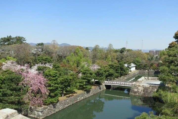 Private Nijo Castle Sightseeing and Nishiki Food Tour — photo 3